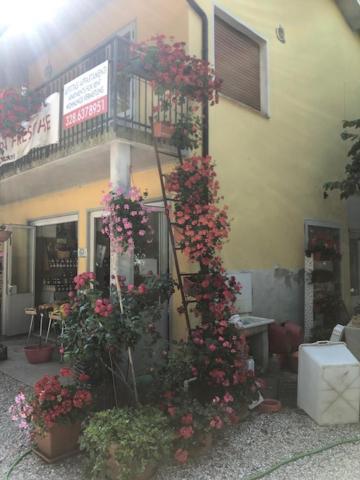 Agriresidence San Pietro บิบิโอเน ภายนอก รูปภาพ